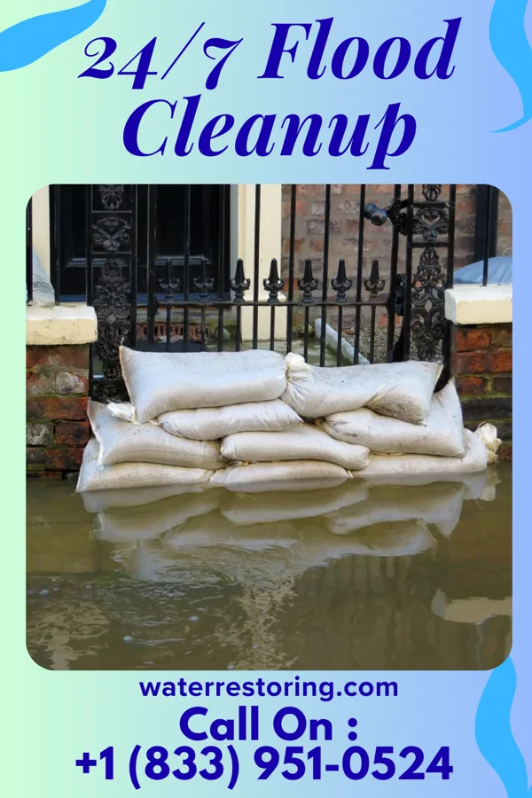24/7 Flood Cleanup in Auburn, IL