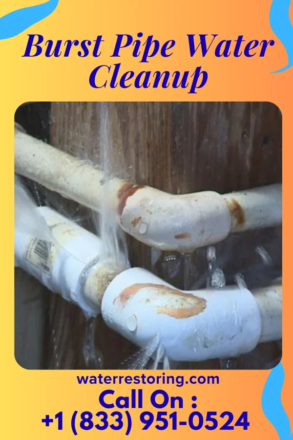Burst Pipe Water Cleanup in Auburn, IL