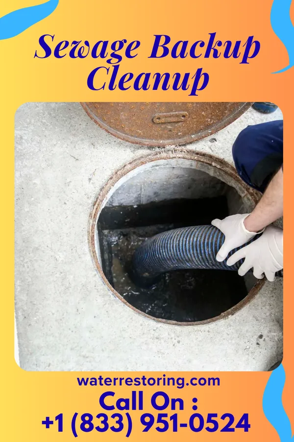 Sewage Backup Cleanup in Auburn, IL