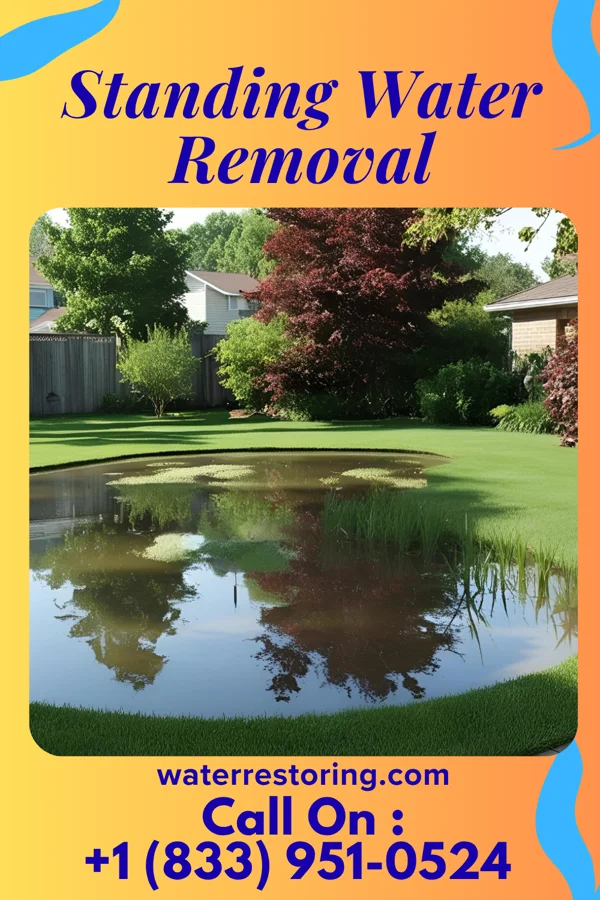 Standing Water Removal in Auburn, IL